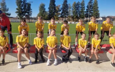 Županijsko natjecanje u atletici